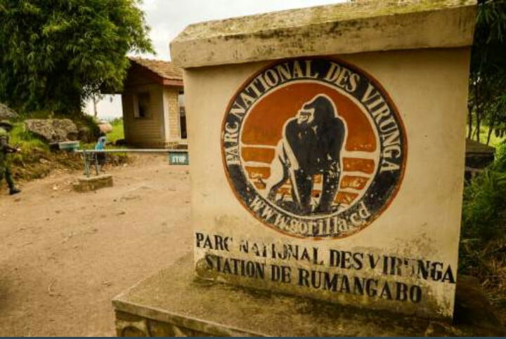 En RDC, six gardes du parc de Virunga tués dans l’embuscade au Nord-Kivu