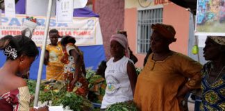 Relance de l’économie: Les 7 bons points de la production locale des produits vivriers( Congo Positif)