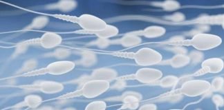 POUR HOMMES: 4 aliments qui peuvent endommager vos spermatozoïdes