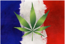 Découvrez ici les noms de quelques rappeurs français qui font la promotion du chanvre