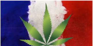 Découvrez ici les noms de quelques rappeurs français qui font la promotion du chanvre