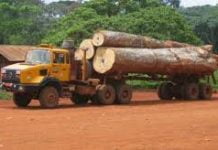 Mongala: ONG-AJBS dénonce le non-respect de norme portant règlementation de l’exploitation forestière par la société Congo King