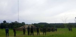 Nord-Kivu : Deux autres combattants ADF neutralisés par les FARDC à Beni-Kainama (armée)