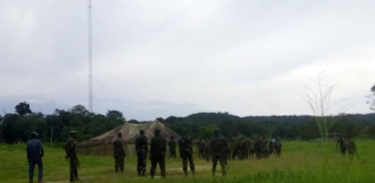 Nord-Kivu : Deux autres combattants ADF neutralisés par les FARDC à Beni-Kainama (armée)