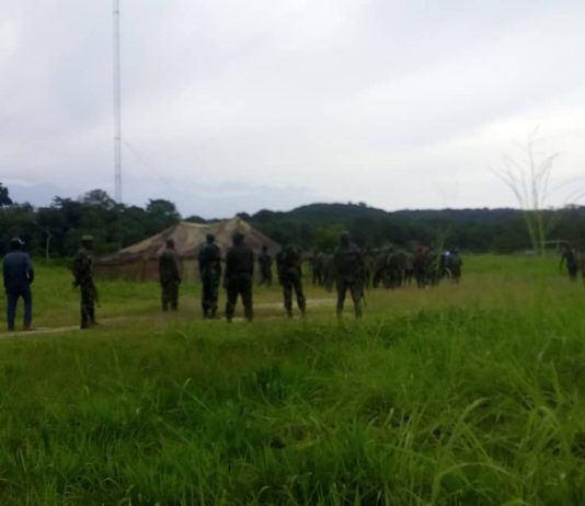 Nord-Kivu : Deux autres combattants ADF neutralisés par les FARDC à Beni-Kainama (armée)