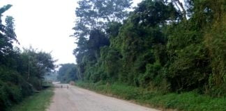 Beni : Une femme poignardée et sa moto emportée par des inconnus sur l’axe routier Beni-Kasindi ce samedi