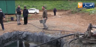 Un Algérien découvre une matière précieuse en cherchant de l’eau dans le sol de sa ferme