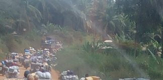 Ituri : Seules, 2 écoles sur plus de 80 fonctionnent en ce jour dans la chefferie des Walese Vonkutu