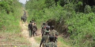 Ituri : les FARDC infligent une lourde perte aux miliciens FPIC à Mwanga
