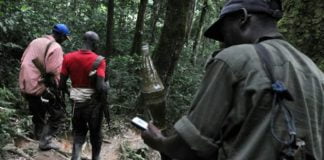 Nord-Kivu : 7 Personnes mortes dans les affrontements entre milices dans le territoire de walikale