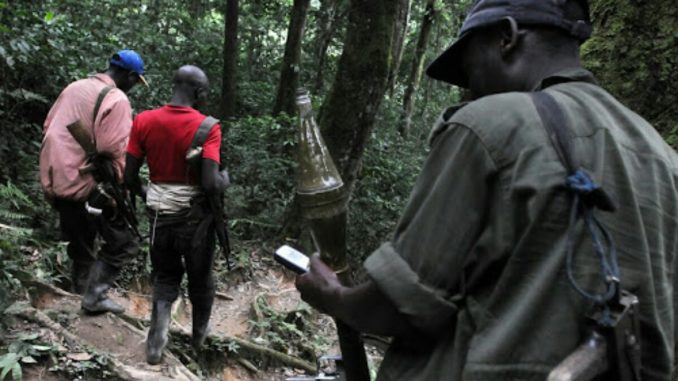 Rebelles-Nyatura-noord-kivu-678x381.jpg