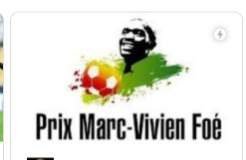 France Ligue 1 : un congolais parmi les finalistes pour le prix Marc Vivien