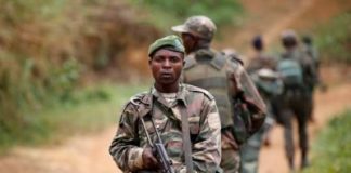 Nord-Kivu : Deux combattants ADF neutralisés par les FARDC à Beni-Ruwenzori