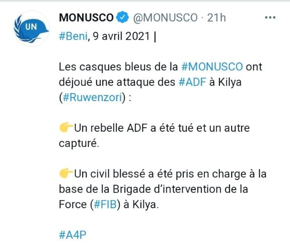 Nord-Kivu : Les casques bleus de la MONUSCO annoncent avoir déjoués une attaque des ADF à Kilya (Rwenzori) 1