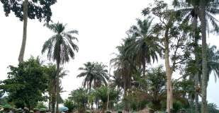 Nord-Kivu : plus de vingt combattants ADF neutralisés par les FARDC à Beni