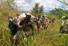 Beni : 6 autres personnes tuées par les rebelles ADF dans le secteur Ruwenzori
