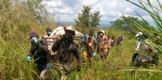 Beni : 6 autres personnes tuées par les rebelles ADF dans le secteur Ruwenzori