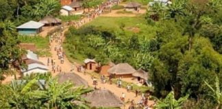 Nord-Kivu : Des nouvelles violences de rebelles ADF signalées à Beni