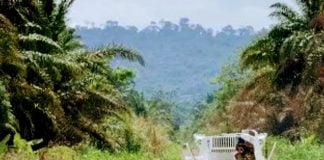Tuerie de 18 personnes à Beni : la Monusco se dit très préoccupée et promet tout faire pour accompagner les FARDC dans la traque des ADF