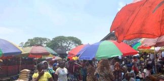 Flash info : Le prix des poulets en baisse à Kinshasa