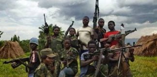 Nord-Kivu : Réorganisation des ADF dans le Graben