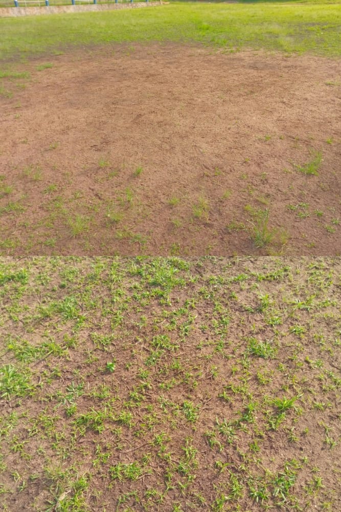 Beni - infrastructures : Le stade du 15 octobre en passe de subir une nouvelle réhabilitation 1 Beni - infrastructures : Le stade du 15 octobre en passe de subir une nouvelle réhabilitation 1