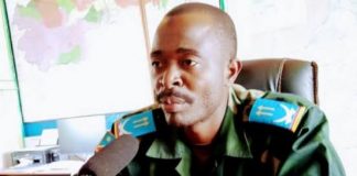 Opérations militaires en Irumu : 5 sujets Nyabwisha se rendent aux FARDC