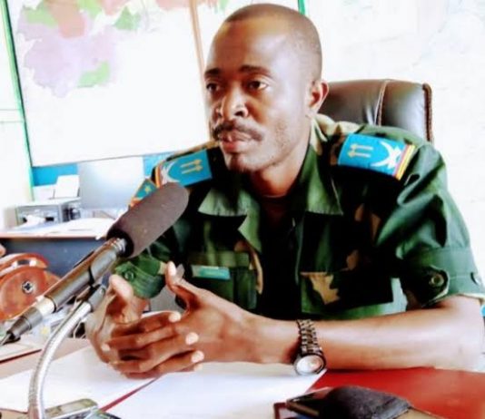 Opérations militaires en Irumu : 5 sujets Nyabwisha se rendent aux FARDC