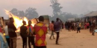 Ituri : Une nouvelle attaque ADF fait 1 mort et plus de 200 chèvres emportées près de Boga
