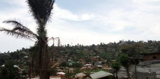 Nord-Kivu : Un jeune tue son propre frère à Lubero sous l’action de la drogue