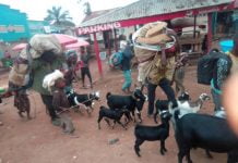 Beni : Une nouvelle violence des rebelles ADF en pleine ville fait des morts