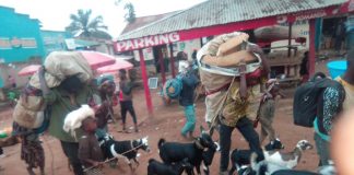 Beni : Une nouvelle violence des rebelles ADF en pleine ville fait des morts