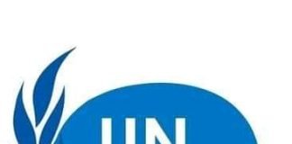 Affaire Congolité : le point de vue de la Monusco