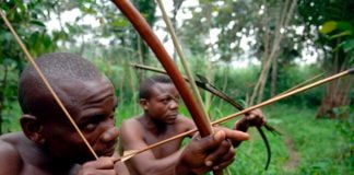RDC : Les peuples autochtones pygmées réclament leurs droits fondamentaux aux même titre que tous les autres congolais !