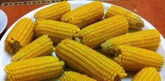 Kasaï-oriental : Hausse du prix de maïs, les producteurs invités à écouler leurs stocks par le gouvernement provincial
