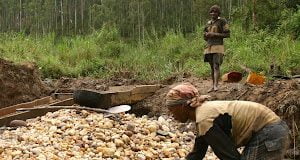 Ituri : 13 expatriés arrêtés pour exploitation illicite de l’or à Mambasa !