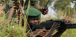 Flash/RDC : Les FARDC frappent très fort et neutralisent plus de 80 miliciens à Djugu !