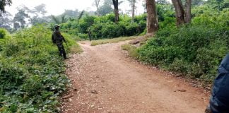 ITURI: Un mort et plusieurs dégâts matériels enregistrer dans une nouvelle attaque des Adf à IRUMU (CRDH)
