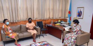 RDC: La Vice-Ministre à la santé à l’écoute du Conseil national de l’Ordre des pharmaciens sur la problématique de la délivrance des documents pour l’ouverture des pharmacies en RDC