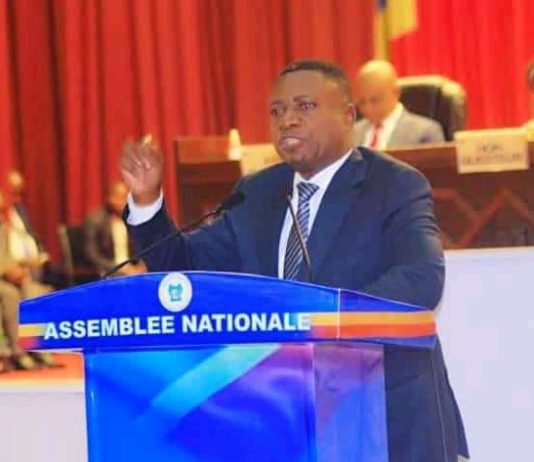 RDC : En colère, Ngoy Kasanji appelle les Kasaïens à ouvrir les yeux pour développer la province du Kasaï-Oriental !