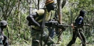 Ituri : l’armée appelée à faciliter la fouille après l’attaque de CODECO à Drodro