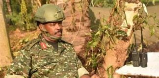 RDC : Une brigade spéciale des commandos de l’armée Ougandaise lance une nouvelle opération contre les ADF !