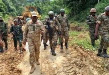 RDC : Les FARDC avec l’armée Ougandaise frappent fort !