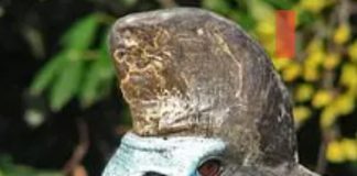 Nature : découvrez cet oiseau le plus dangereux du monde !