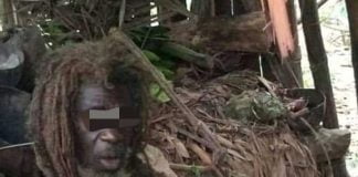 Incroyable ! Cet homme vit en autarcie il y a 40 ans dans une forêt !