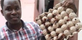 Ce jeune tanzanien gagne de l’argent grâce à l’élevage des cafards !