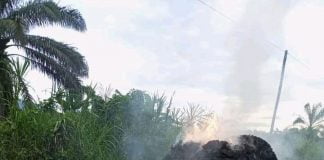 Nord-Kivu : Les ADF ont incendiés 5 véhicules appartenant aux opérateurs économiques !