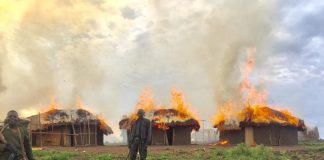 ITURI: les FARDC et la MONUSCO démantèlent le camp des miliciens de la CODECO