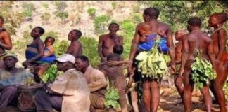 Découvrons cette tribu africaine où les femmes ne portent pas des habits par peur de…