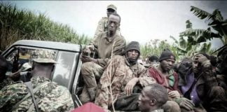 RDC : suite à la chaleur de feu des FARDC, le M23 veut signer son acte de décès